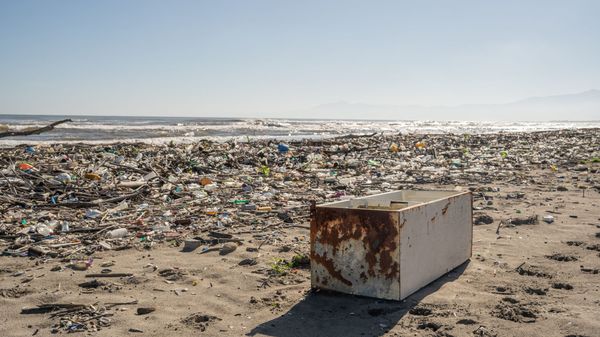 Coastal sweep, river pollution, river plastic, beach cleanup