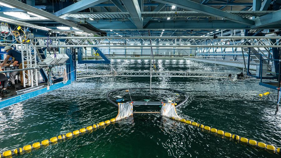 ocean plastic pollution, plastic pollution, great pacific garbage patch, GPGP, ocean cleanup, clean oceans