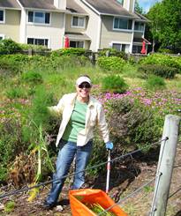 Volunteer Connie Lathrop at Shoreline Park